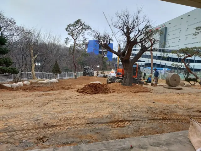 부지 정지 및 조경 이식 작업